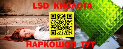 apvp Гатчина