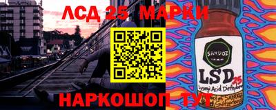 apvp Гатчина