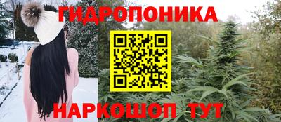 apvp Гатчина