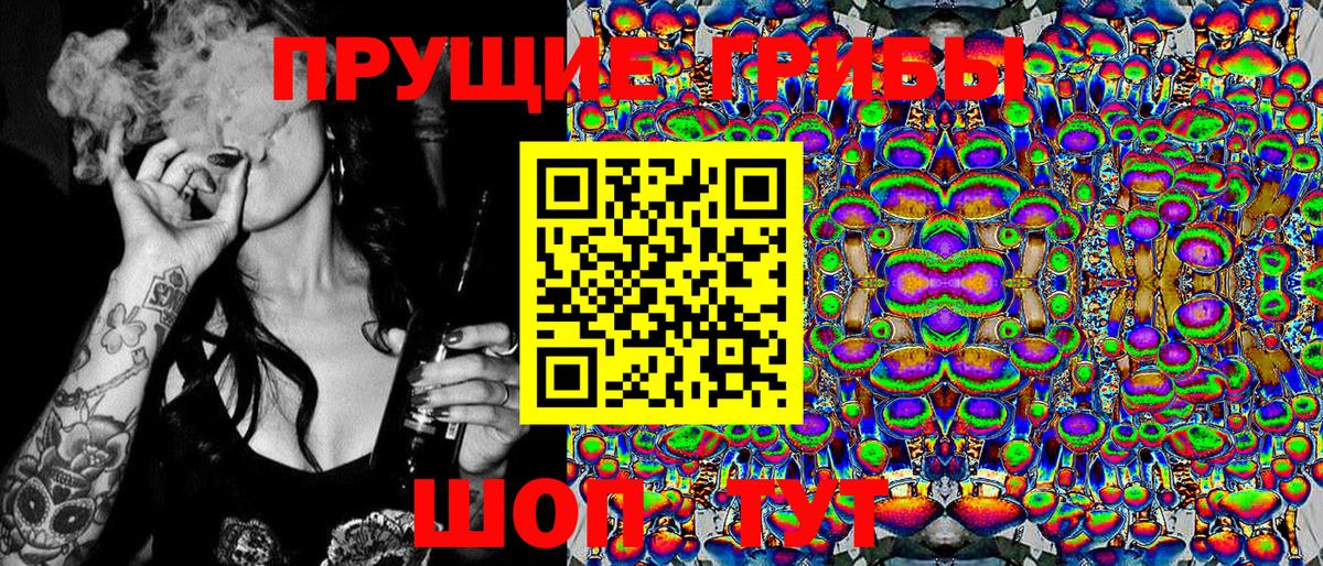 Галлюциногенные грибы Cubensis Муравленко