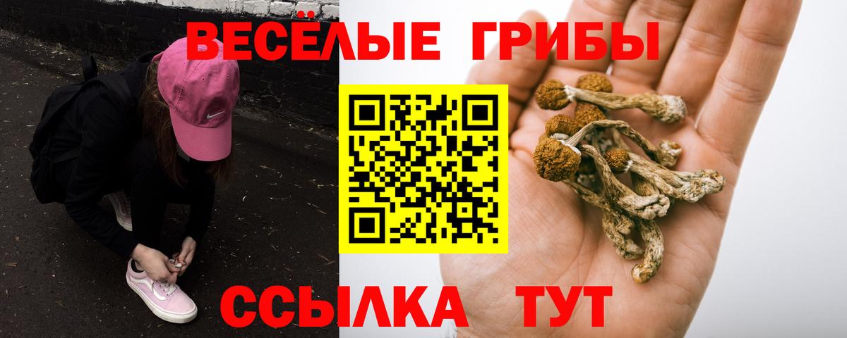 Псилоцибиновые грибы Psilocybine cubensis  Вход с VPN  Муравленко 